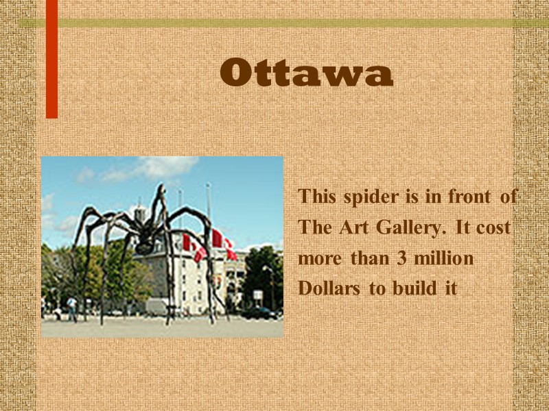 Ottawa This spider is in front of The Art Gallery. It cost more than